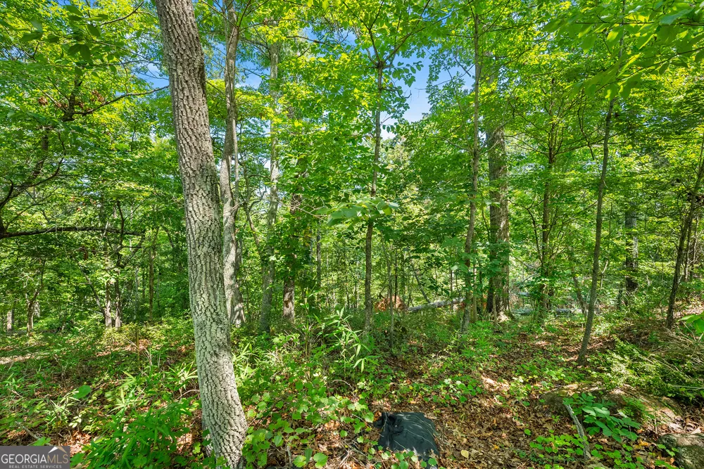 0 Flat Rock PT Dahlonega, GA 30533