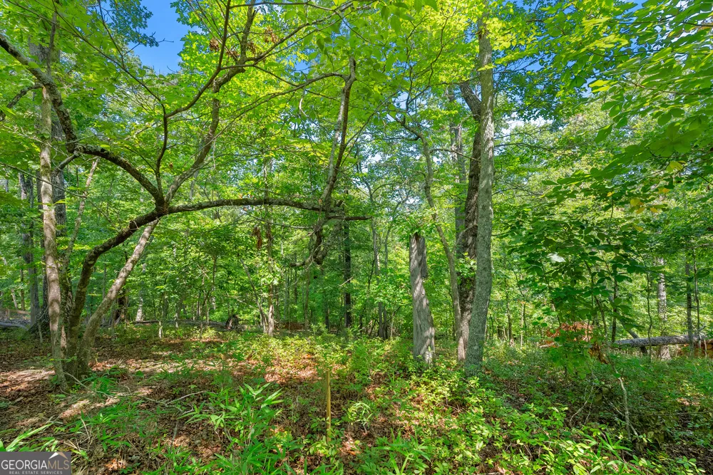 0 Flat Rock PT Dahlonega, GA 30533