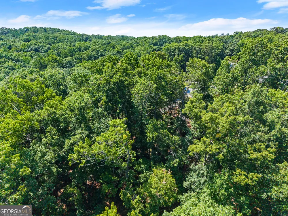 0 Flat Rock PT Dahlonega, GA 30533