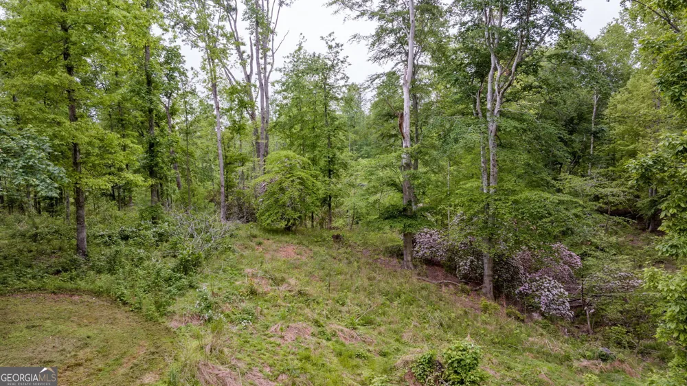 527 Louden Ridge RD Alto, GA 30510