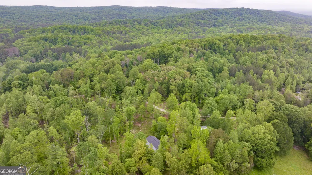 527 Louden Ridge RD Alto, GA 30510