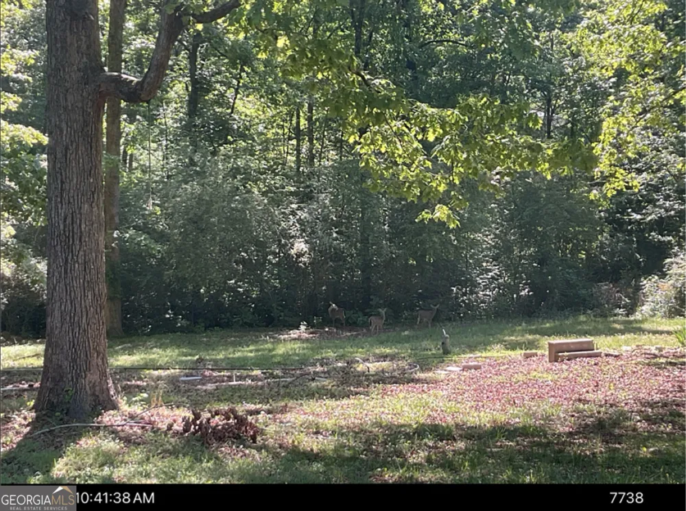 106 Melba DR Trion, GA 30753