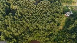 LOT B Brush Creek RD Colbert, GA 30628