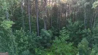 LOT B Brush Creek RD Colbert, GA 30628