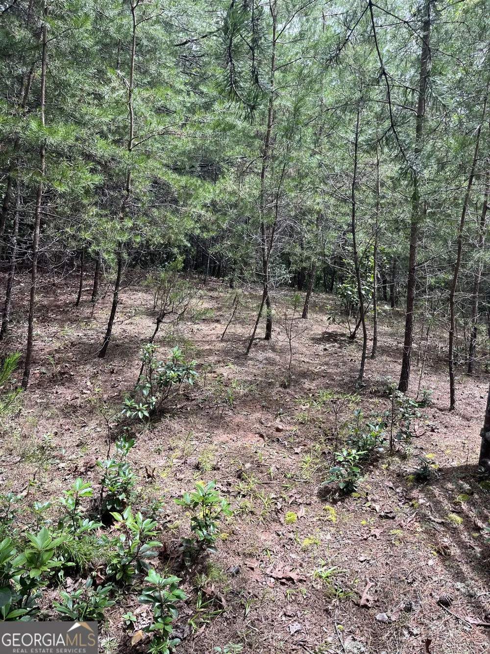 0 Windy Ridge Otto, NC 28763