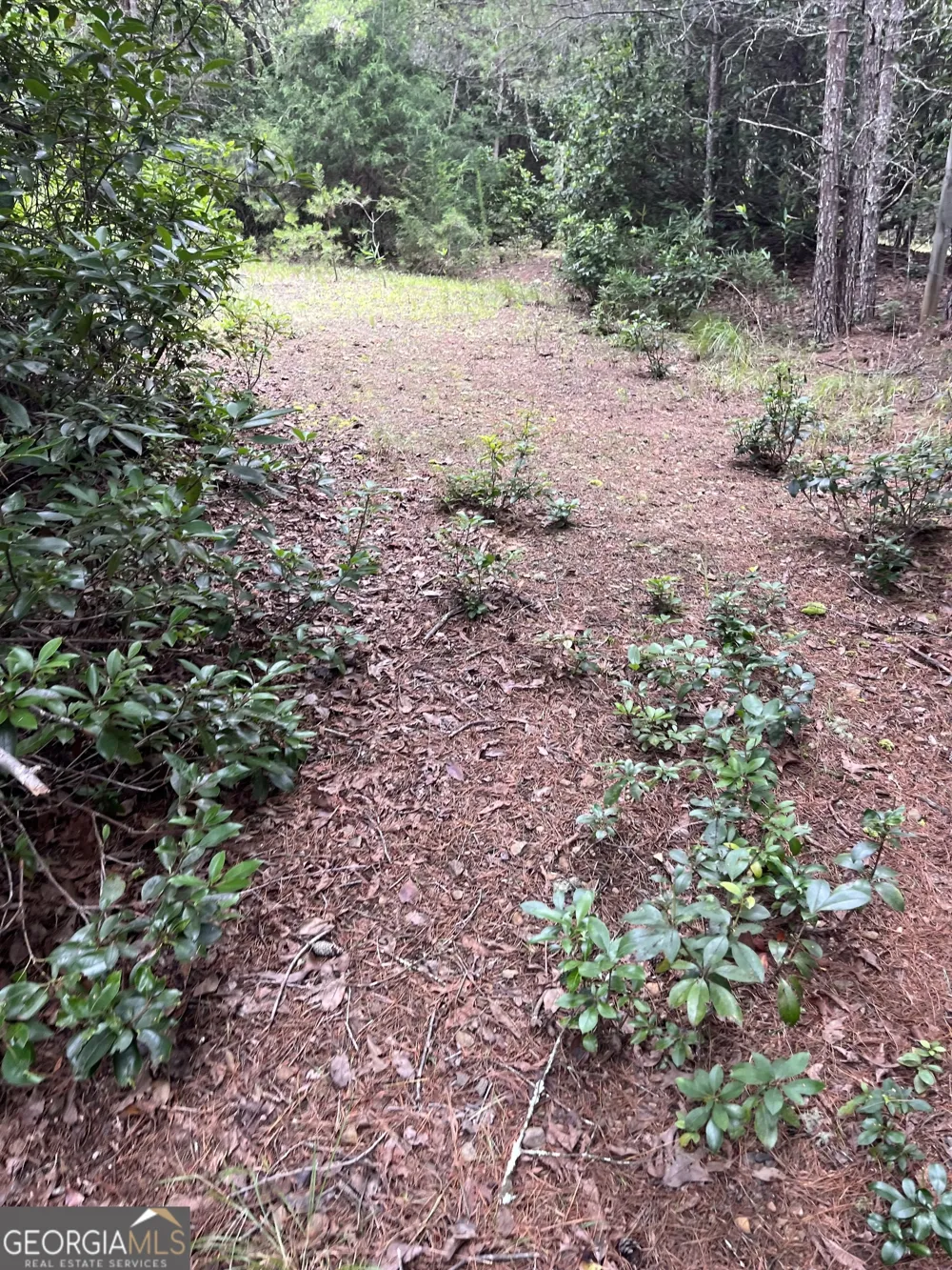 0 Windy Ridge Otto, NC 28763