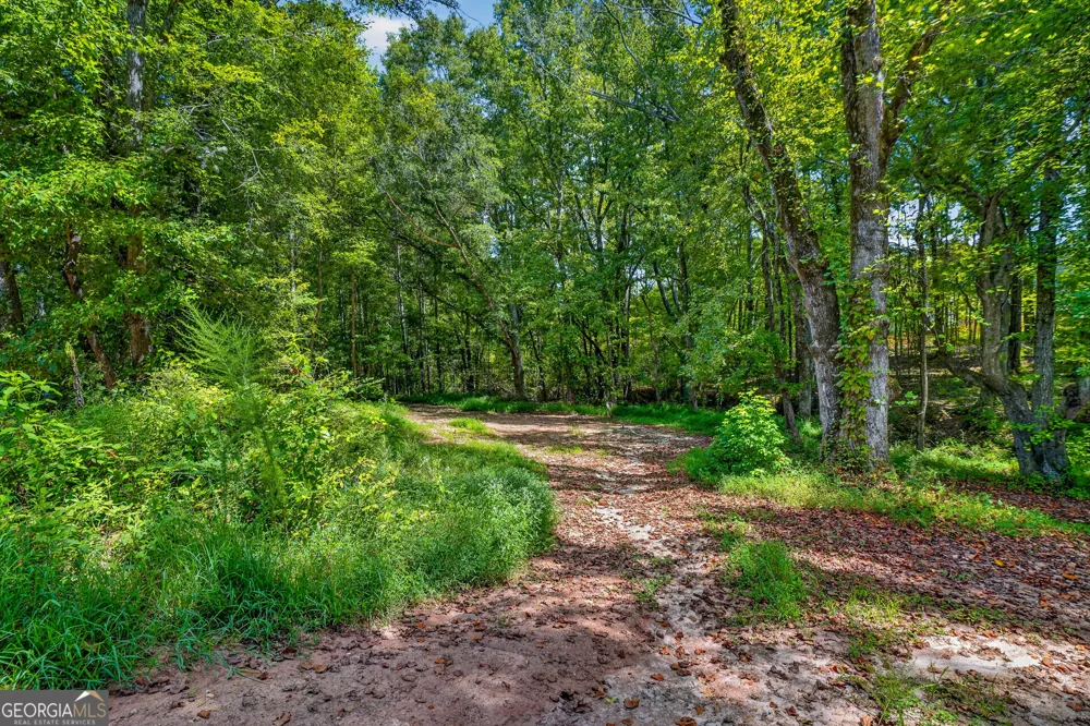 450 Ashley Glen DR Williamson, GA 30292