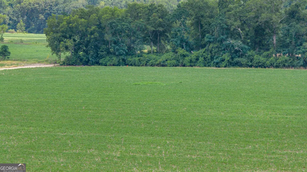 TRACT 3 Wade Aycock RD Surrency, GA 31563