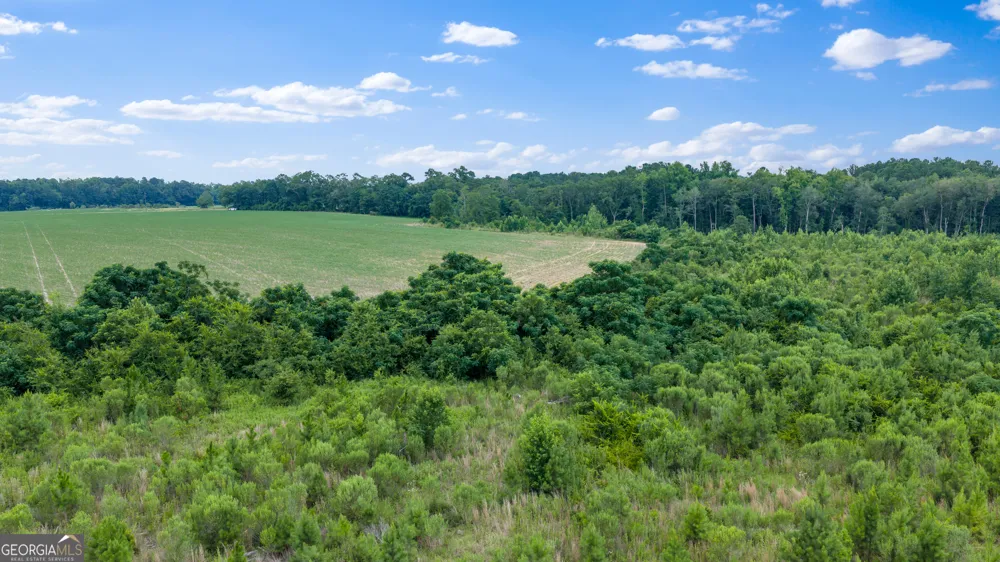 TRACT 3 Wade Aycock RD Surrency, GA 31563