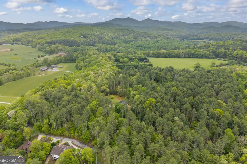435 Dogwood WAY Blue Ridge, GA 30513