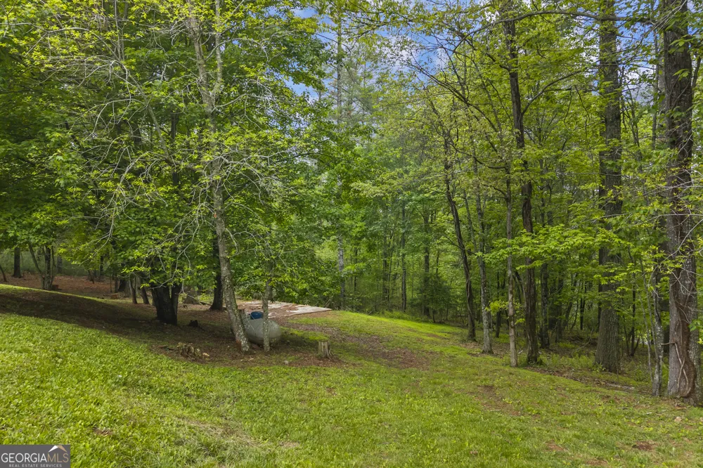 435 Dogwood WAY Blue Ridge, GA 30513