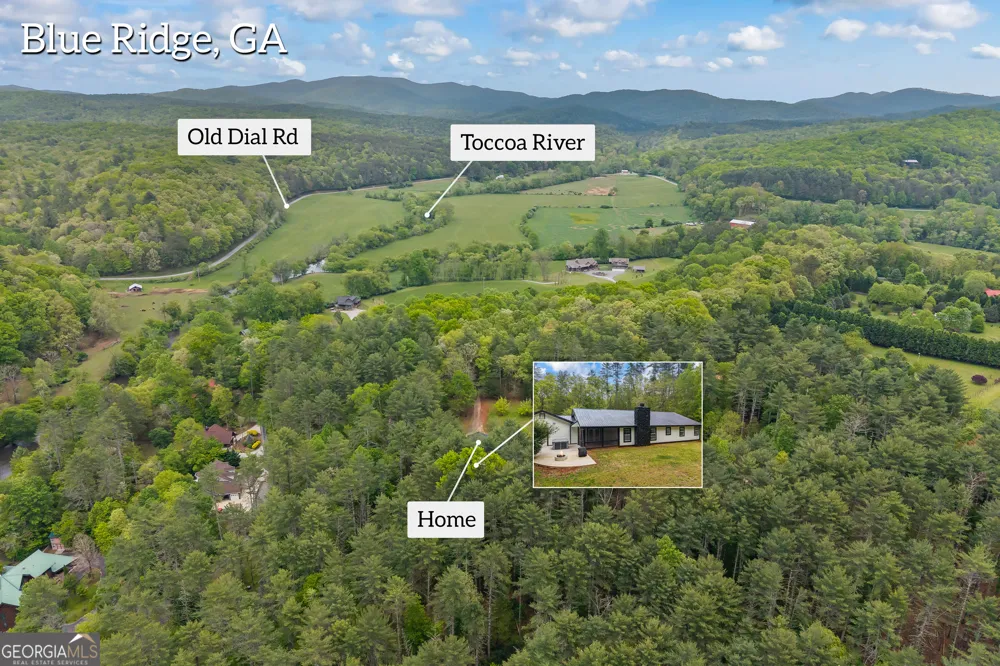 435 Dogwood WAY Blue Ridge, GA 30513
