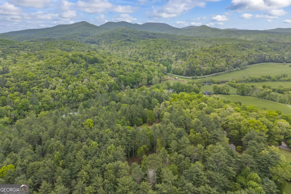 435 Dogwood WAY Blue Ridge, GA 30513