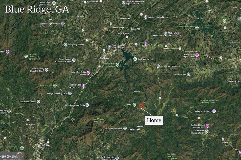 435 Dogwood WAY Blue Ridge, GA 30513