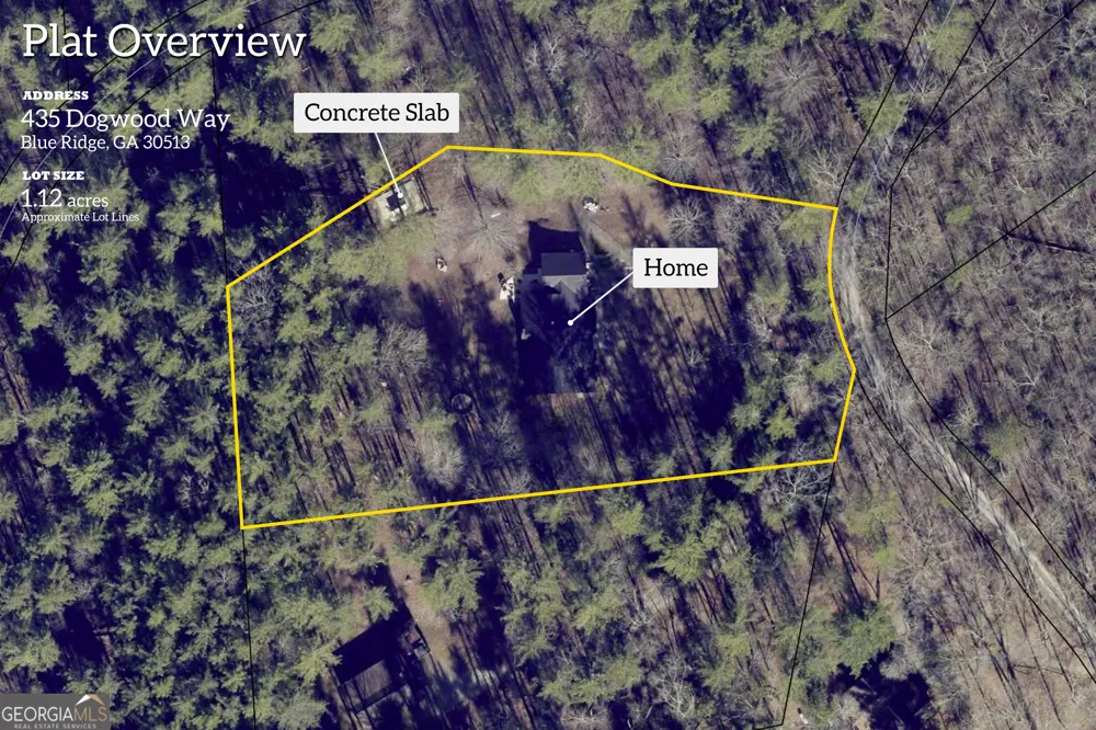 435 Dogwood WAY Blue Ridge, GA 30513