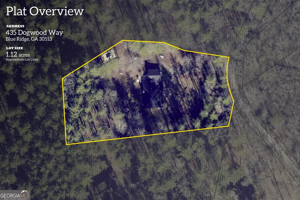 435 Dogwood WAY Blue Ridge, GA 30513