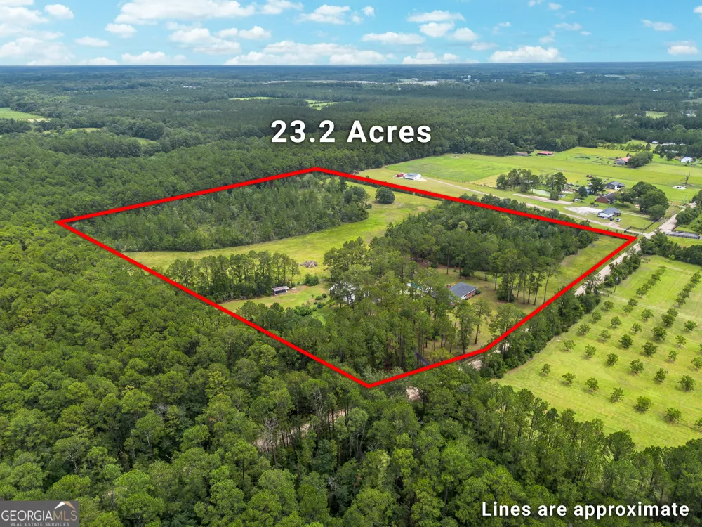 5486 Bowen RD Blackshear, GA 31516