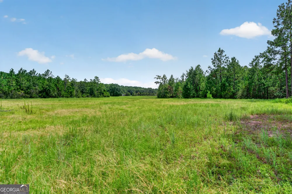 5486 Bowen RD Blackshear, GA 31516