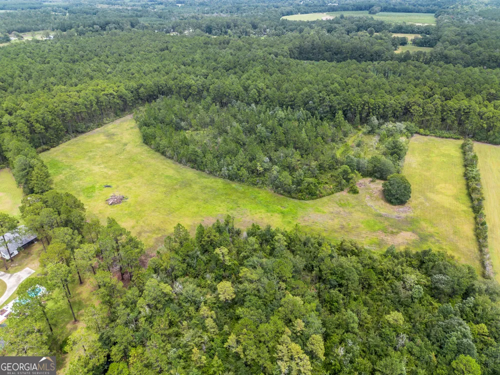 5486 Bowen RD Blackshear, GA 31516