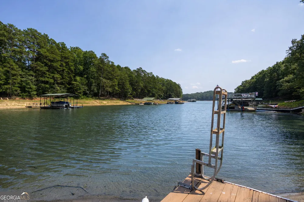 1 Pine Needle DR Martin, GA 30557