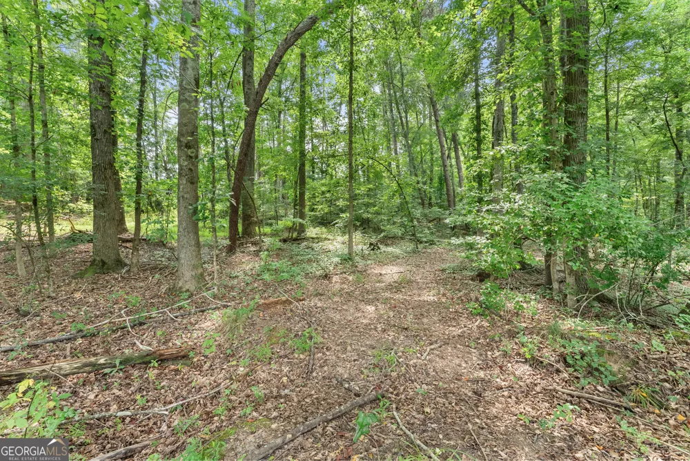 0 Jackson Trail RD Hoschton, GA 30548