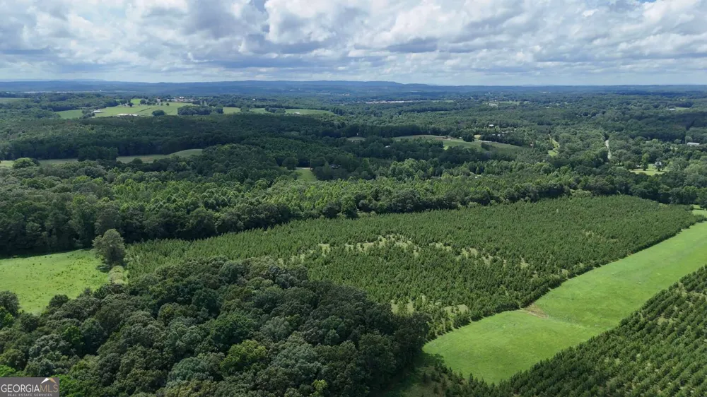LOT 1 Stateline RD Bowdon, GA 30108