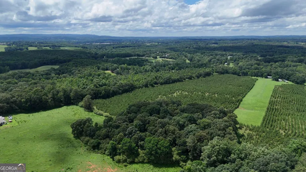 LOT 1 Stateline RD Bowdon, GA 30108