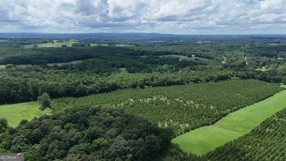 LOT 1 Stateline RD Bowdon, GA 30108