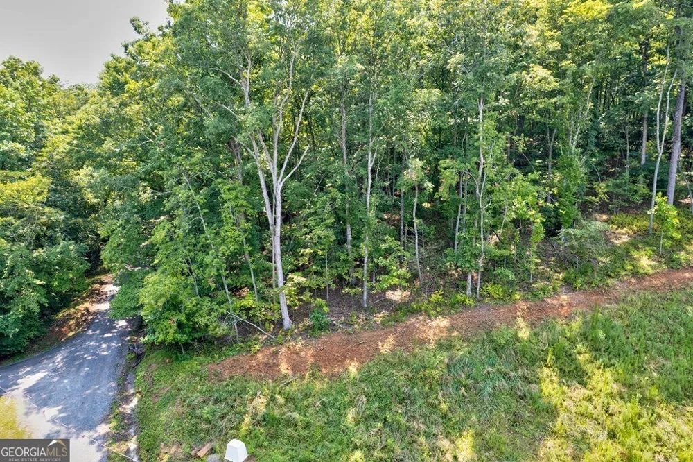 0 Shady LN Mineral Bluff, GA 30559