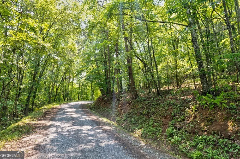 0 Shady LN Mineral Bluff, GA 30559
