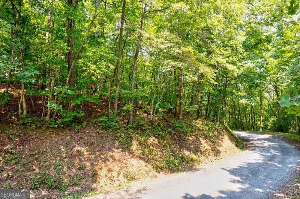0 Shady LN Mineral Bluff, GA 30559