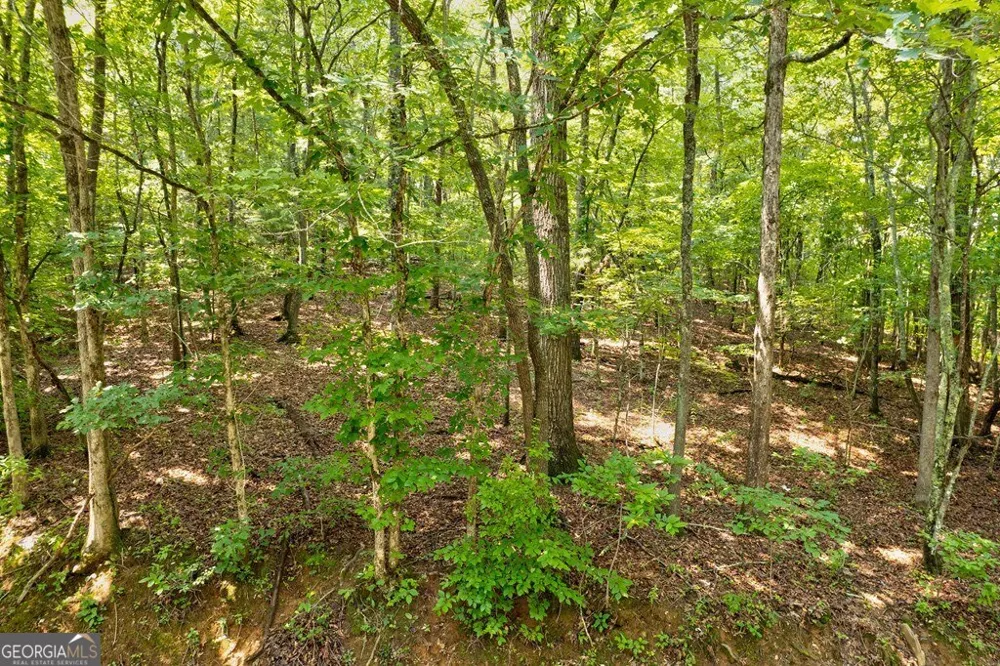 0 Shady LN Mineral Bluff, GA 30559