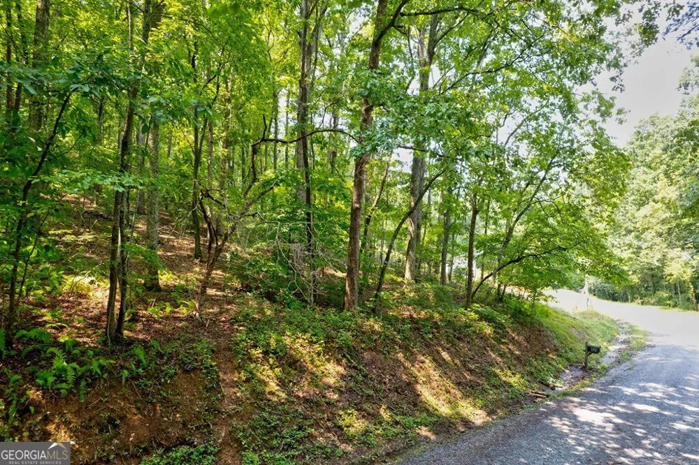 0 Shady LN Mineral Bluff, GA 30559