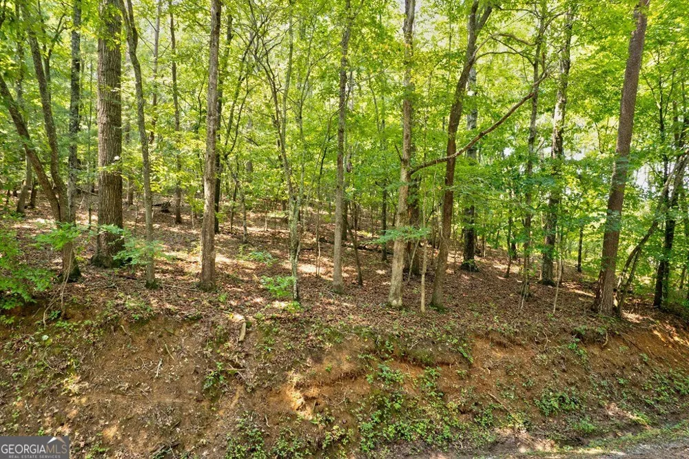 0 Shady LN Mineral Bluff, GA 30559