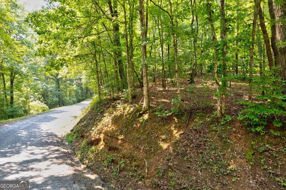 0 Shady LN Mineral Bluff, GA 30559