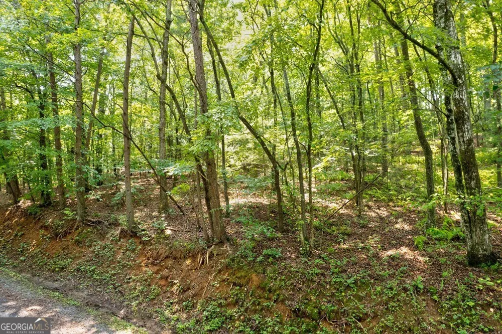 0 Shady LN Mineral Bluff, GA 30559
