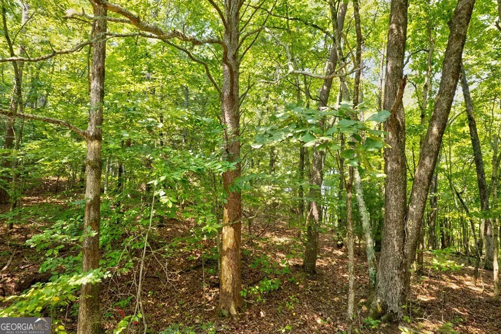 0 Shady LN Mineral Bluff, GA 30559