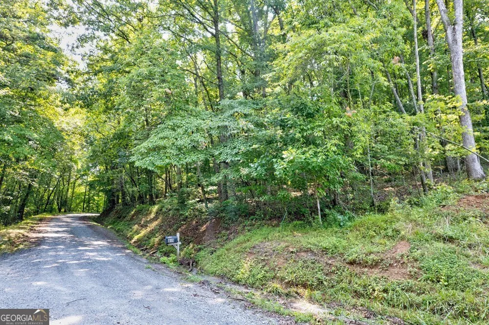 0 Shady LN Mineral Bluff, GA 30559