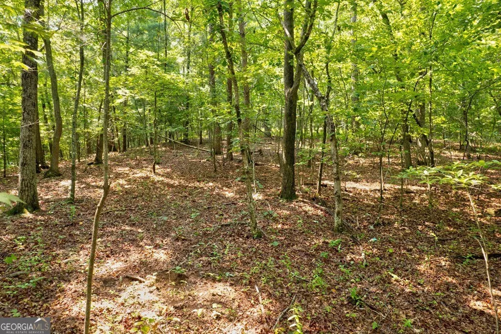 0 Shady LN Mineral Bluff, GA 30559