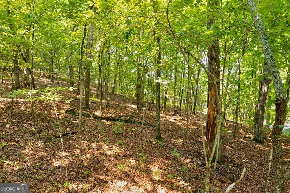 0 Shady LN Mineral Bluff, GA 30559