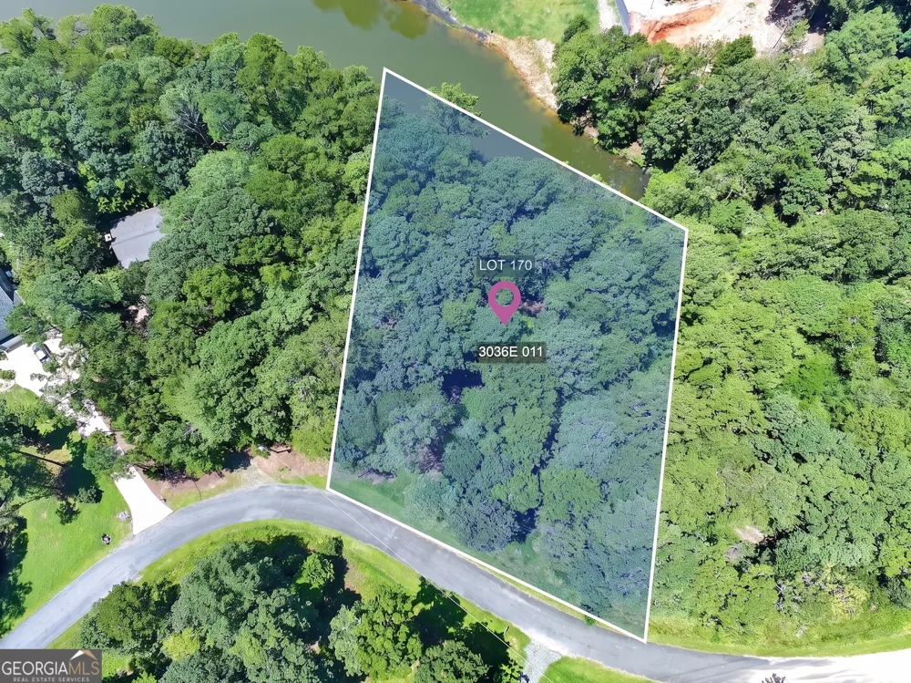 LT 170 Overlook WAY Ellijay, GA 30540