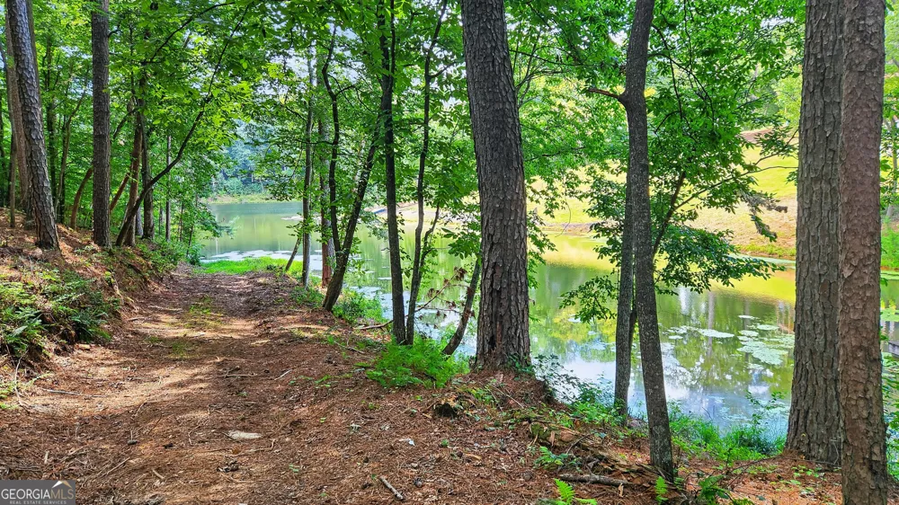 LT 170 Overlook WAY Ellijay, GA 30540