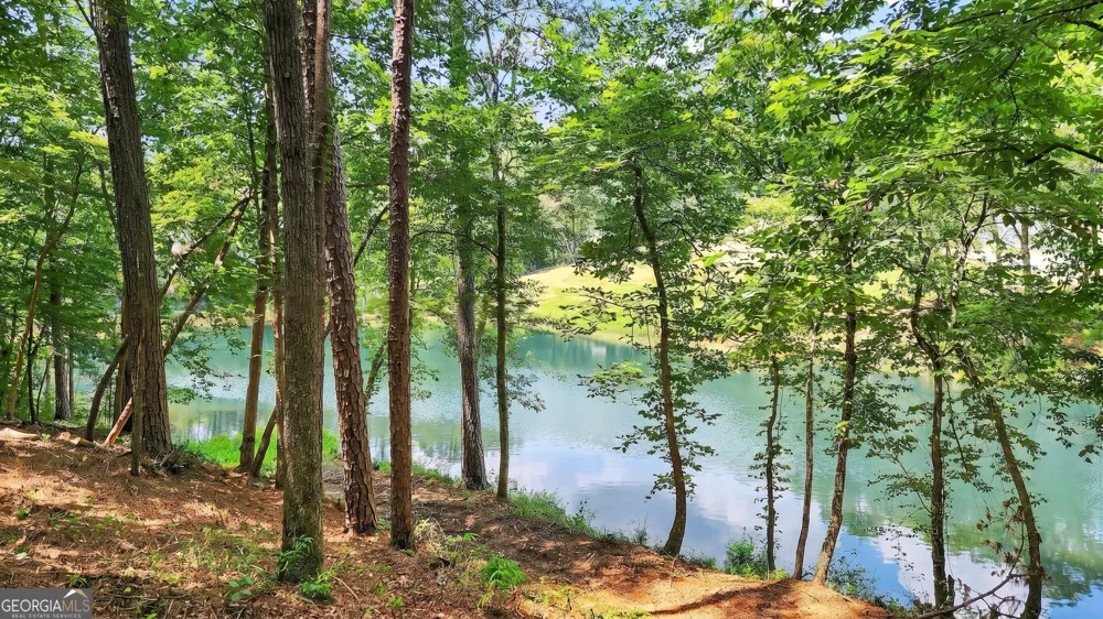 LT 170 Overlook WAY Ellijay, GA 30540