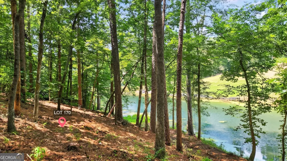 LT 170 Overlook WAY Ellijay, GA 30540