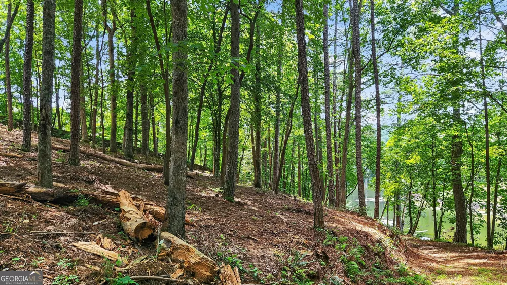 LT 170 Overlook WAY Ellijay, GA 30540