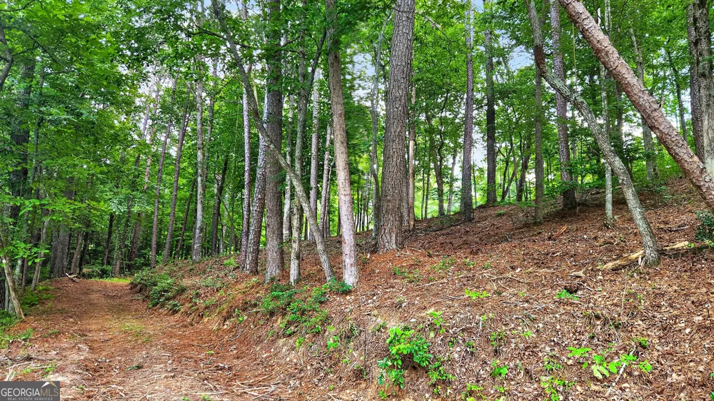 LT 170 Overlook WAY Ellijay, GA 30540