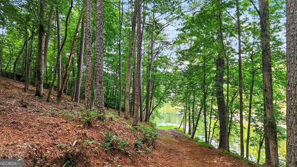 LT 170 Overlook WAY Ellijay, GA 30540