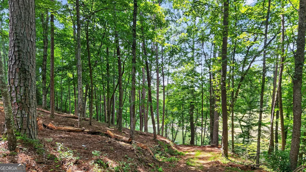 LT 170 Overlook WAY Ellijay, GA 30540