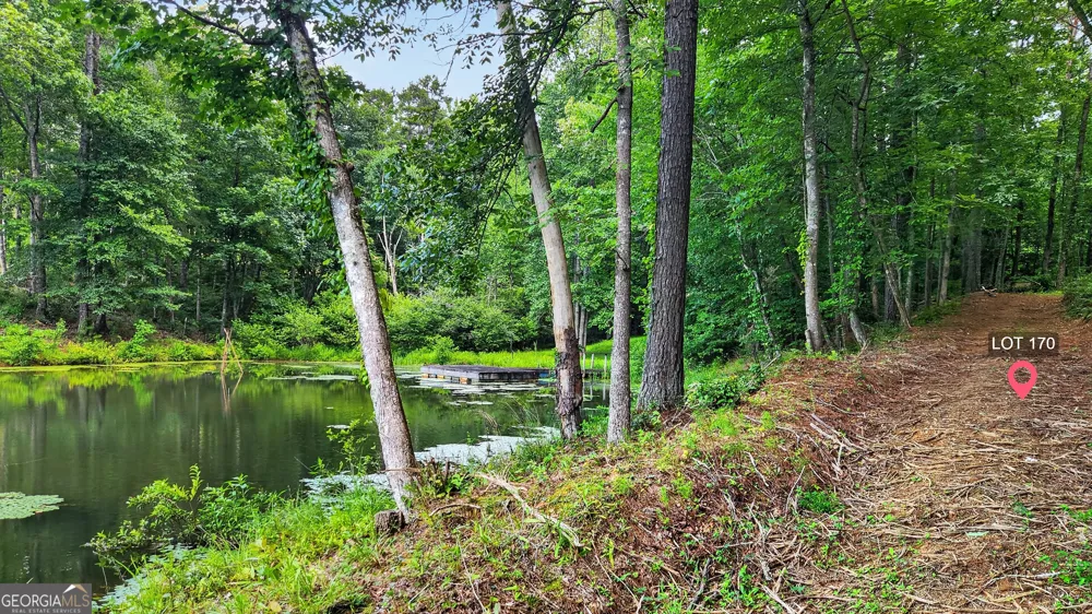 LT 170 Overlook WAY Ellijay, GA 30540