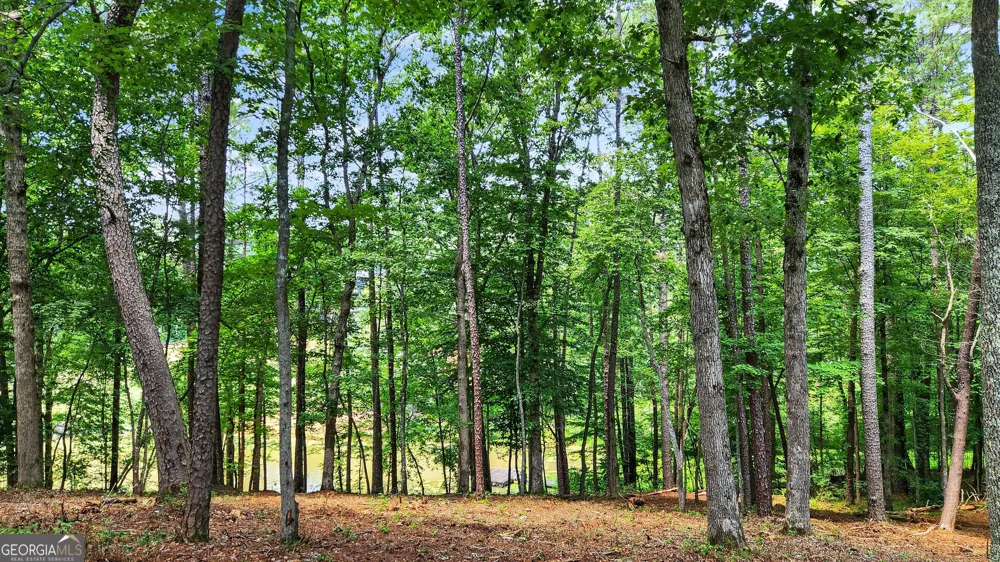 LT 170 Overlook WAY Ellijay, GA 30540